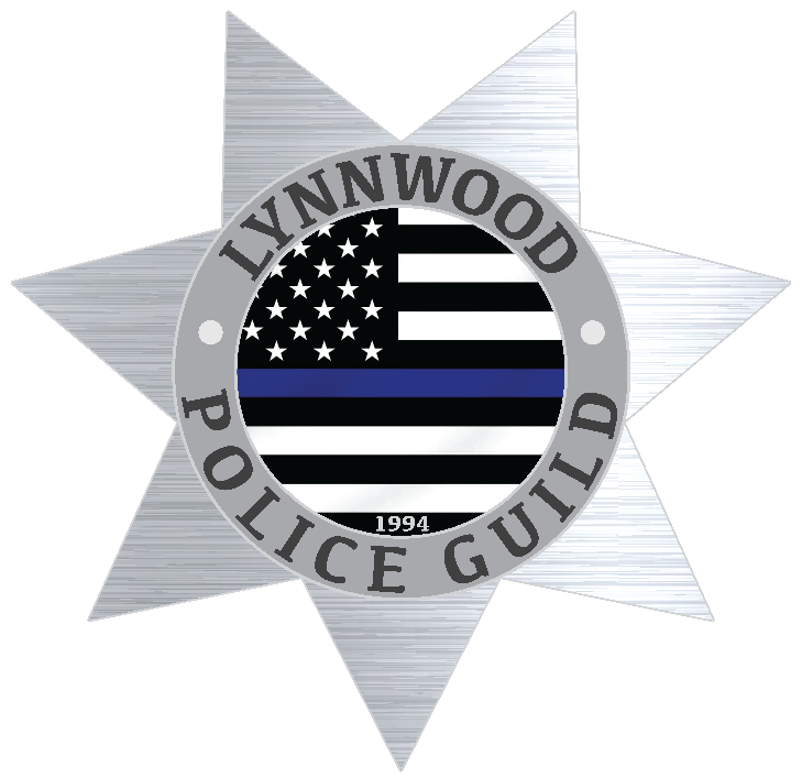 A silver star with a thin blue line and a flagDescription automatically generated